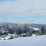 2 Mitterdorf Lejlighed *