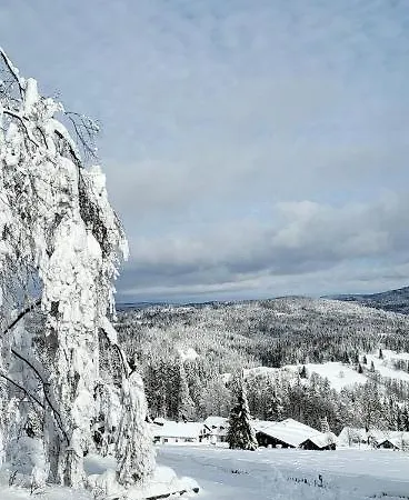 Apartmán 2 Mitterdorf Philippsreut