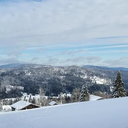 2 Mitterdorf Apartment *