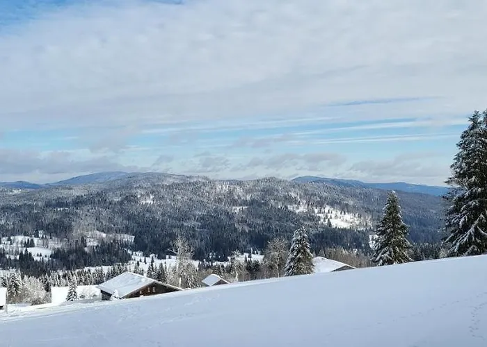 2 Mitterdorf شقة *